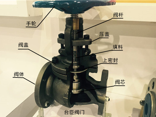 截止閥結(jié)構(gòu)示意圖、解剖圖